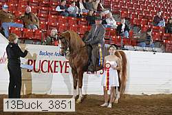 13buck_3851 proof