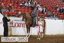 13buck_3852 proof