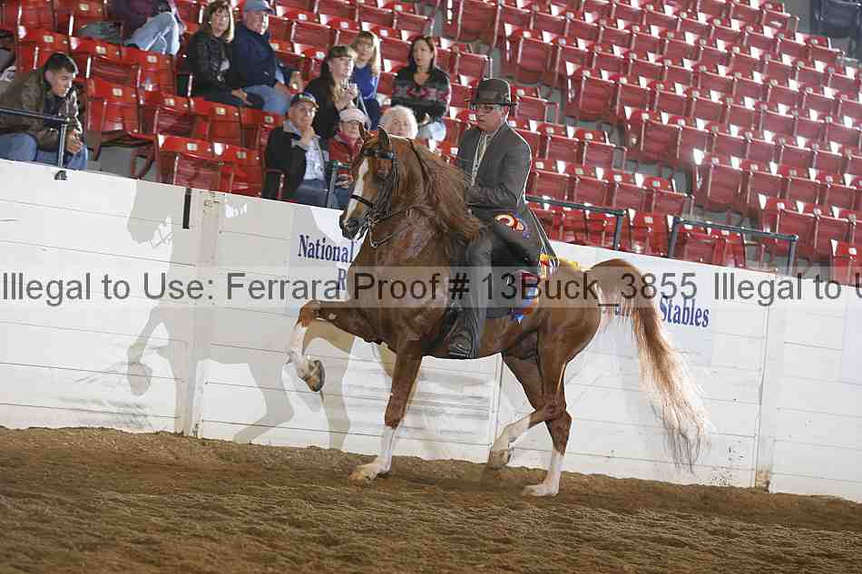 Proof 13buck_3855