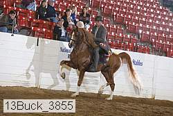 13buck_3855 proof