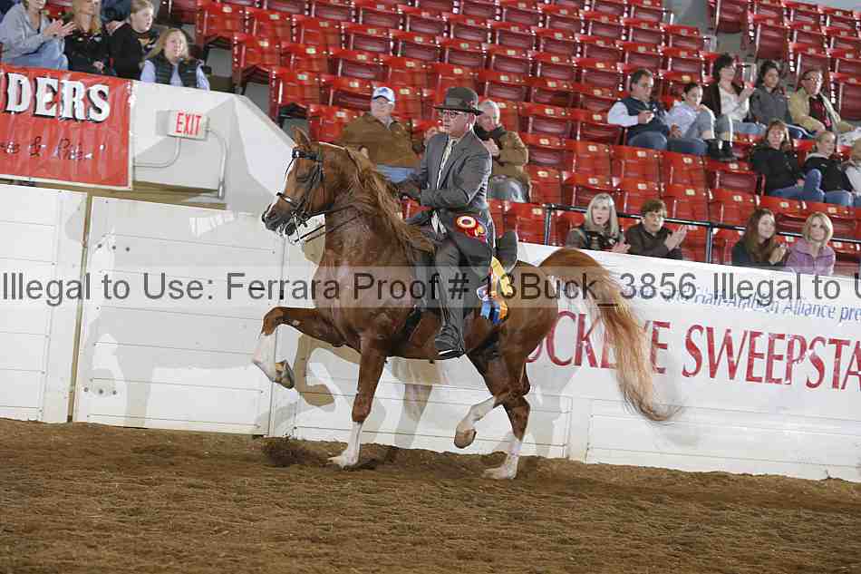 Proof 13buck_3856