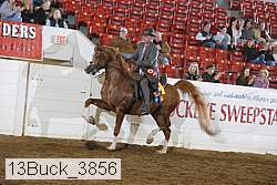 13buck_3856 proof