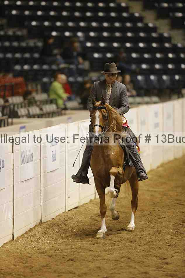 Proof 13buck_3857