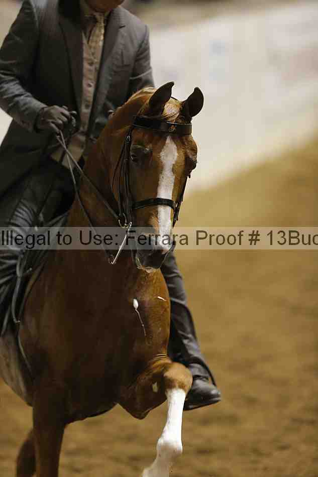 Proof 13buck_3859