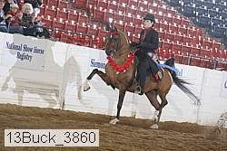 13buck_3860 proof