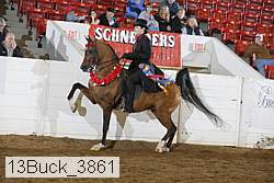 13buck_3861 proof