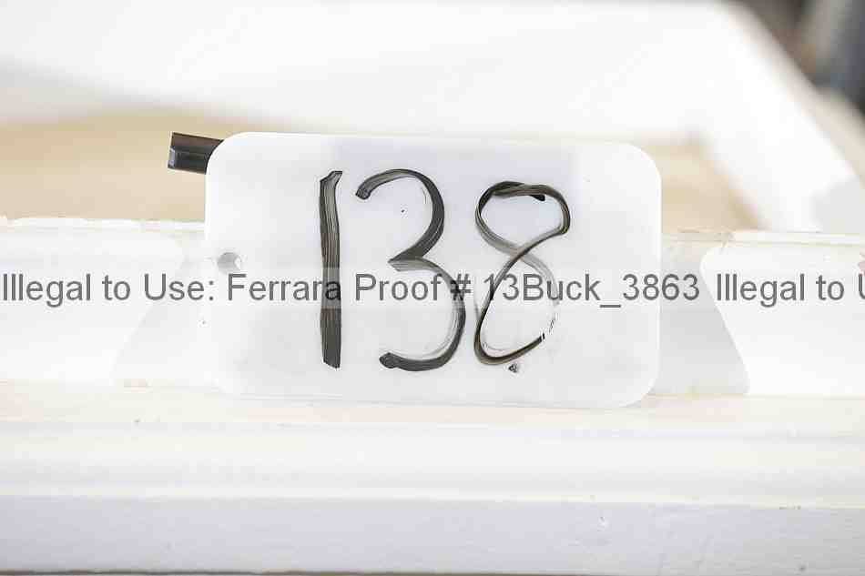 Proof 13buck_3863