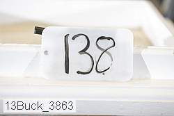 13buck_3863 proof