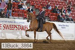13buck_3864 proof
