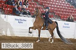 13buck_3865 proof