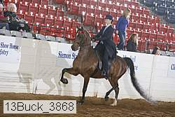 13buck_3868 proof