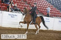 13buck_3871 proof