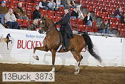 13buck_3873 proof