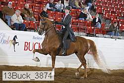13buck_3874 proof