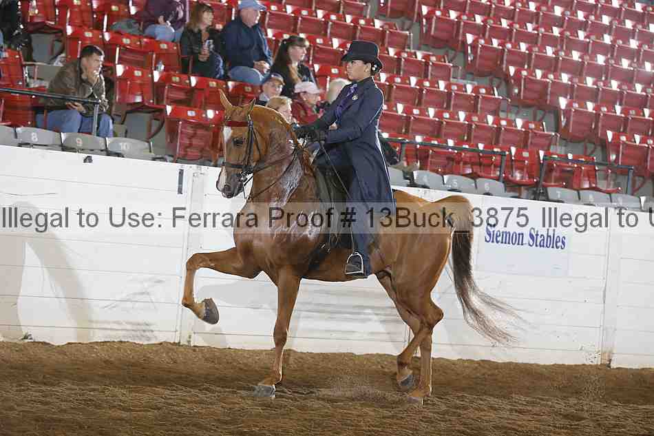 Proof 13buck_3875