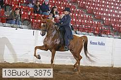 13buck_3875 proof