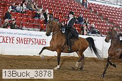 13buck_3878 proof