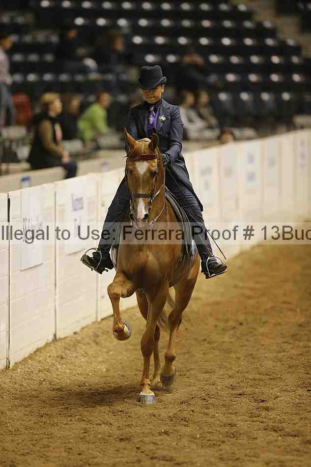 Proof 13buck_3879