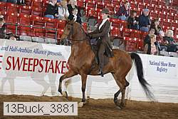 13buck_3881 proof