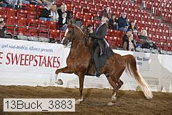 13buck_3883 proof