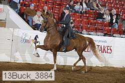 13buck_3884 proof