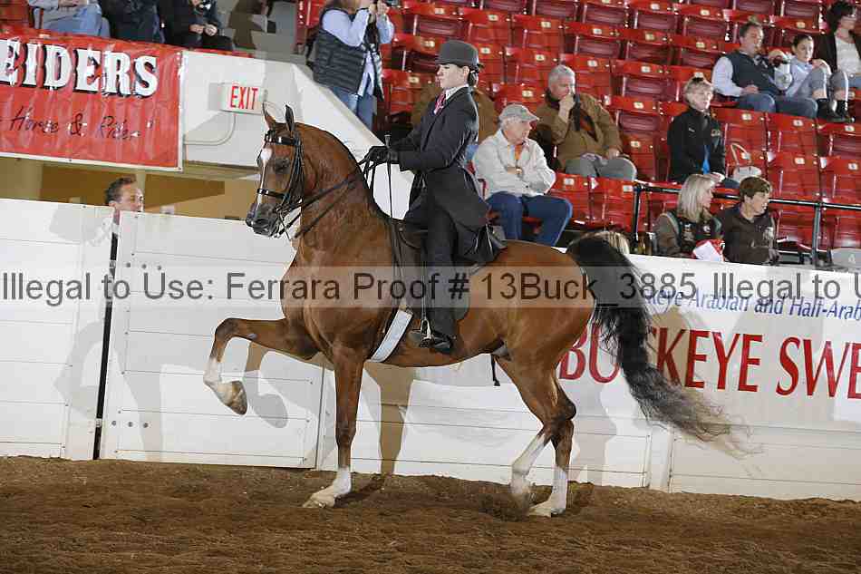 Proof 13buck_3885