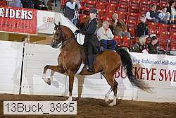 13buck_3885 proof