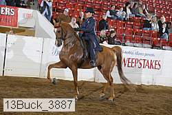 13buck_3887 proof