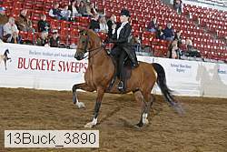 13buck_3890 proof
