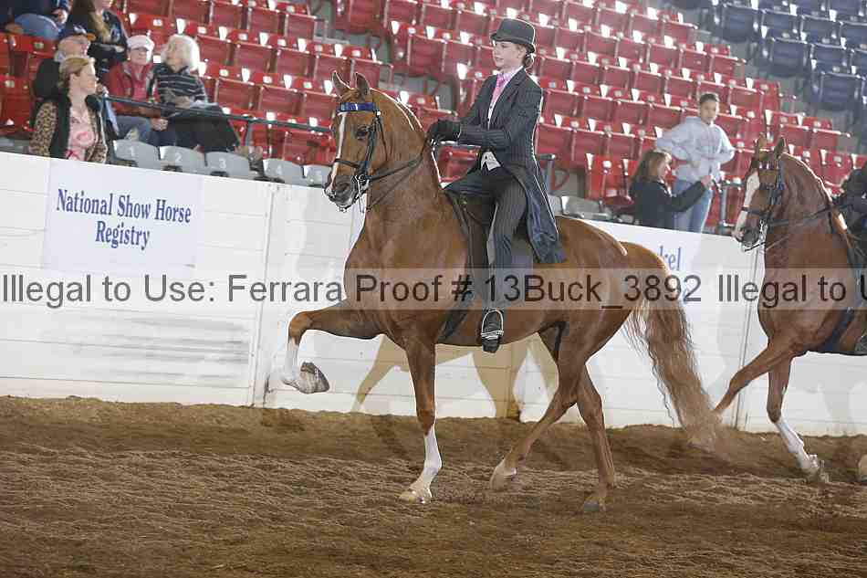 Proof 13buck_3892