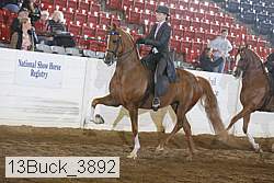 13buck_3892 proof