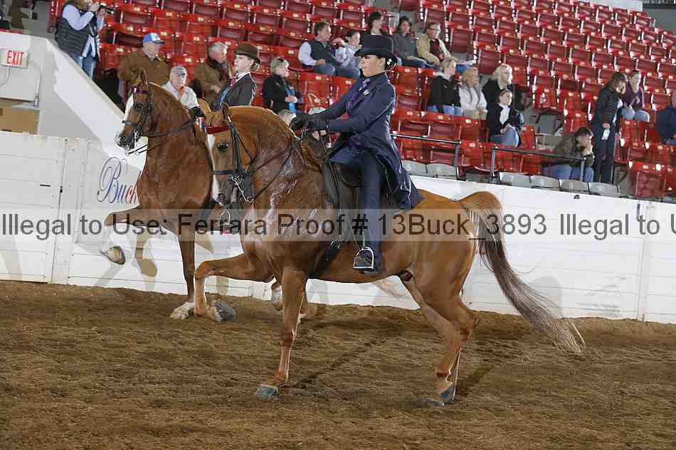 Proof 13buck_3893