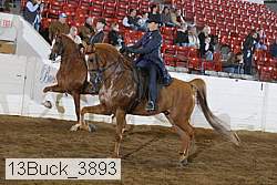 13buck_3893 proof