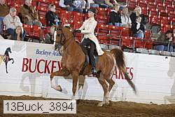 13buck_3894 proof