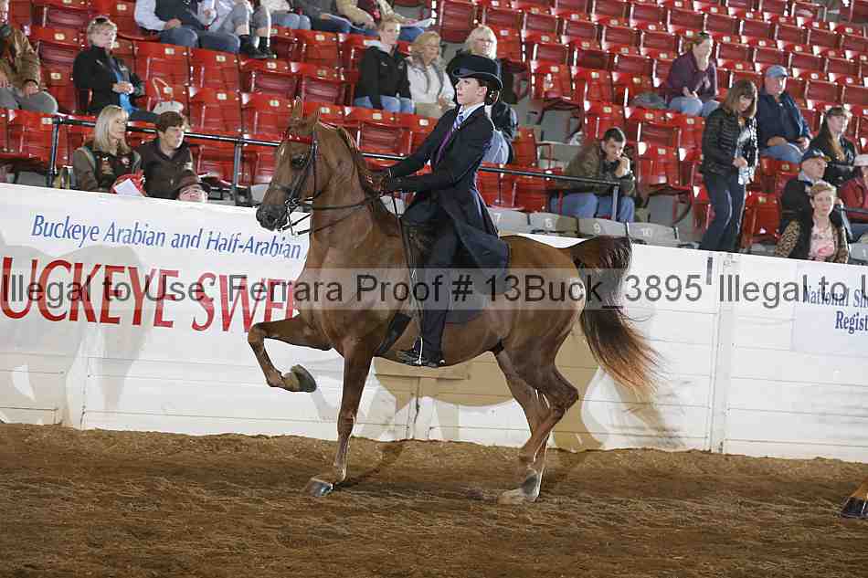 Proof 13buck_3895