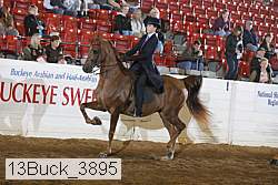 13buck_3895 proof