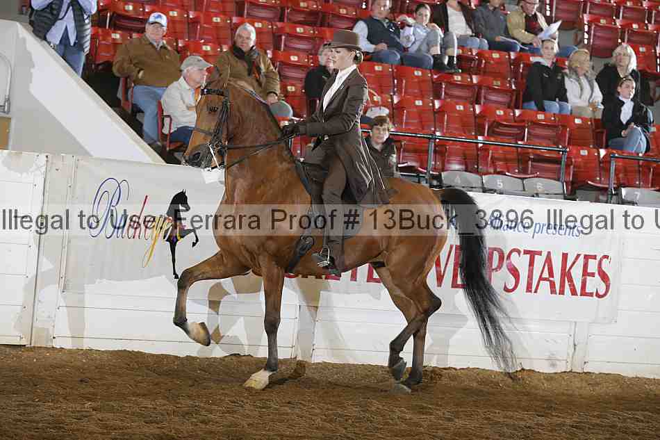 Proof 13buck_3896