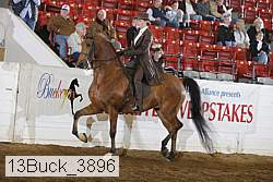 13buck_3896 proof