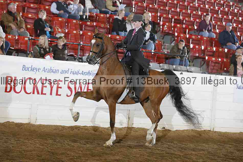 Proof 13buck_3897