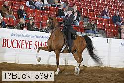 13buck_3897 proof