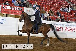 13buck_3898 proof