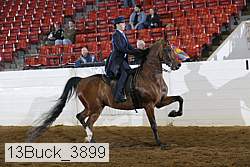 13buck_3899 proof