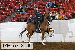 13buck_3900 proof