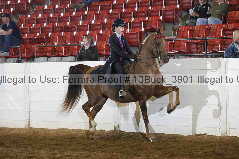 Proof 13buck_3901