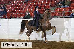 13buck_3901 proof