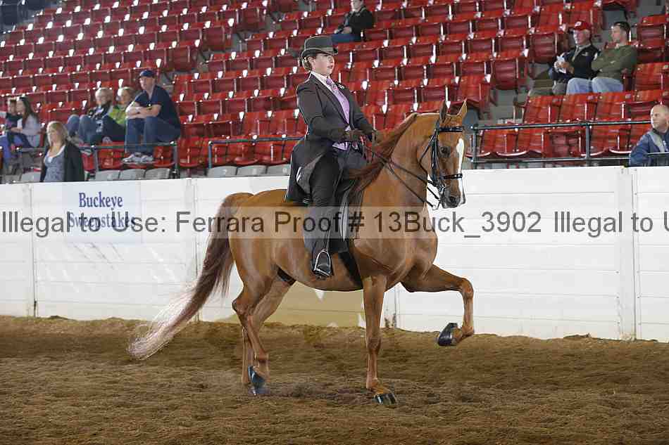 Proof 13buck_3902