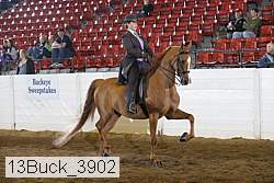 13buck_3902 proof