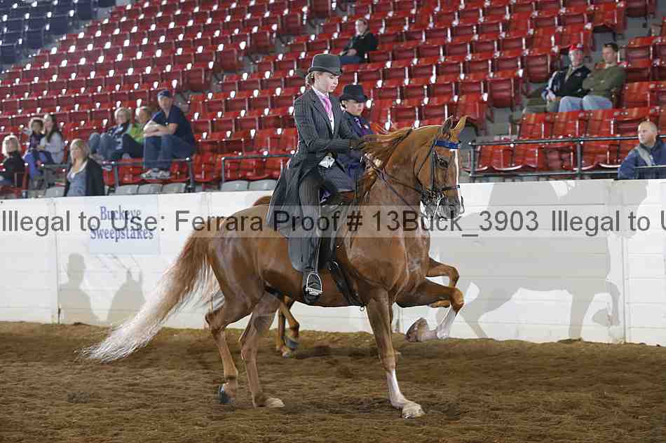 Proof 13buck_3903