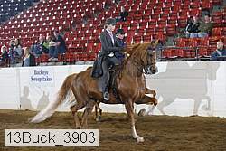 13buck_3903 proof