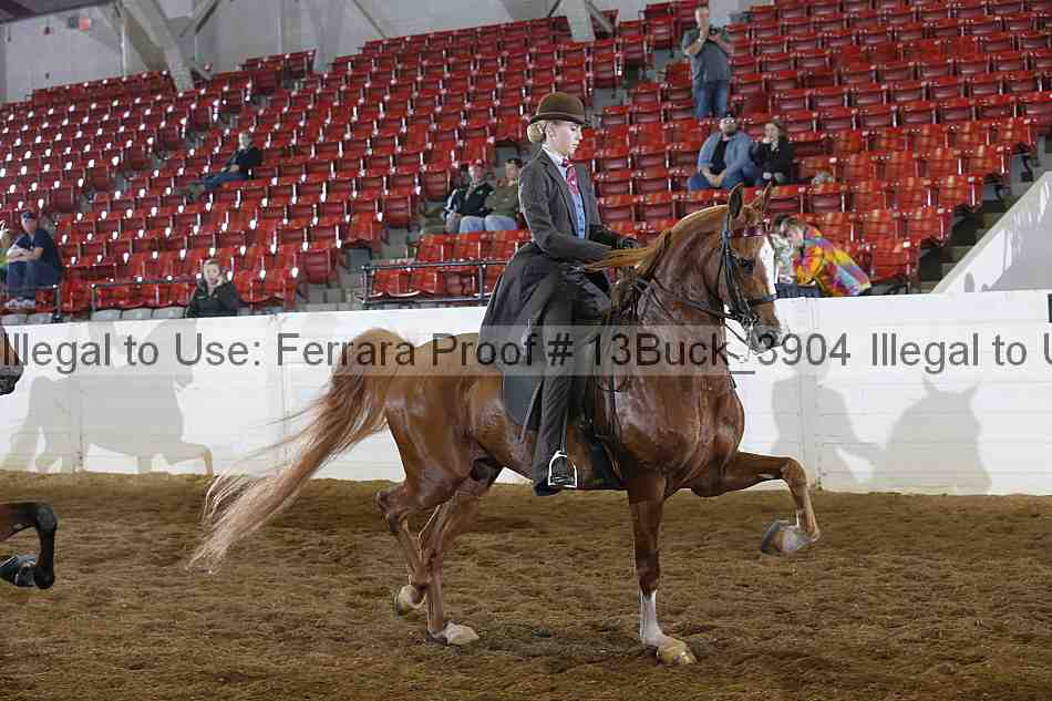 Proof 13buck_3904